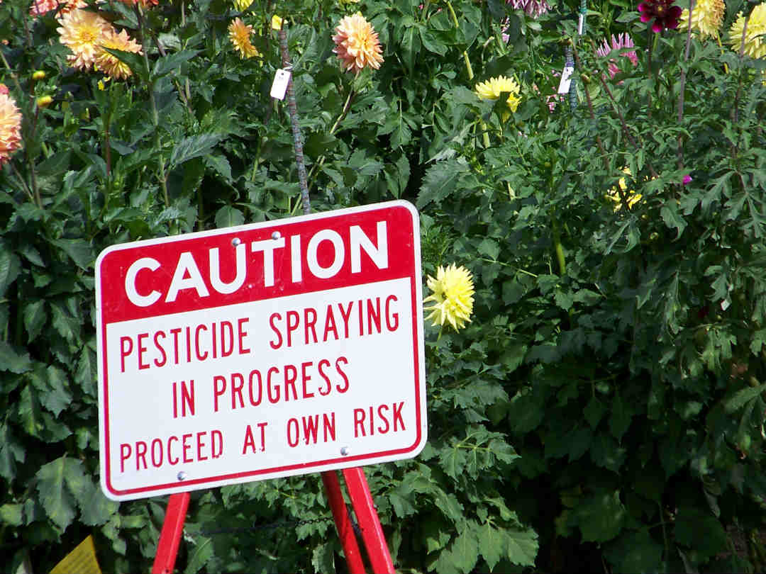pesticides