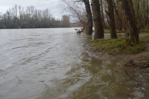 La Garonne sort de son lit