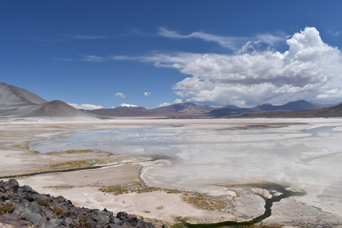 Le désert d'Atacama, connu comme le plus aride du monde / Crédits : Coraline Mercier