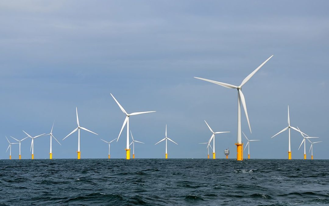 Des éoliennes en pleine mer - wikipédia