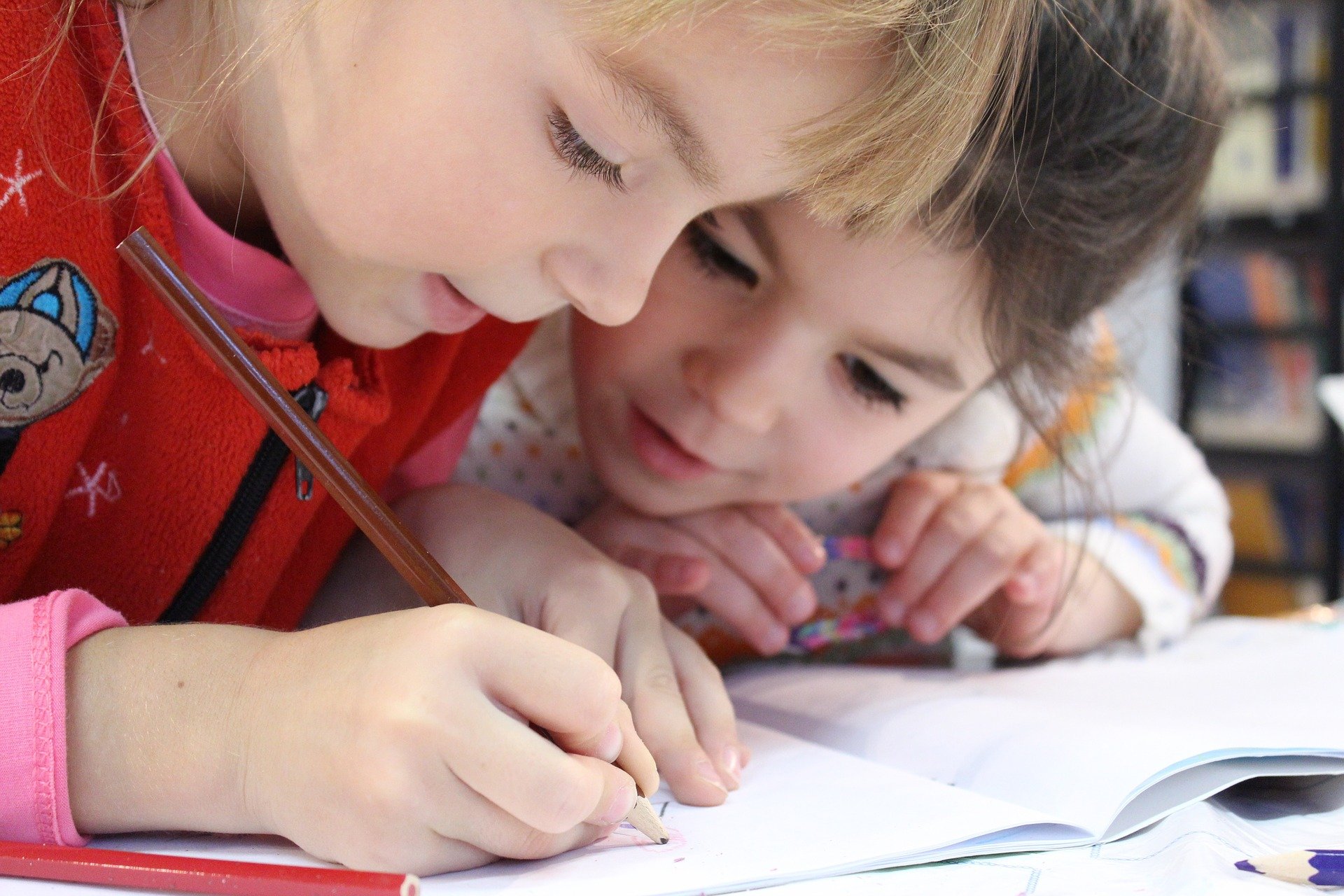 L’inclusion scolaire concerne cette année près de 18 000 enfants dans l’académie de Toulouse. Crédit : Pixabay.