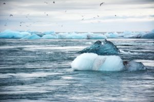 Le texte devrait aider à réduire de 40 % les émissions de gaz à effet de serre d’ici 2030. Crédit : Unsplash.