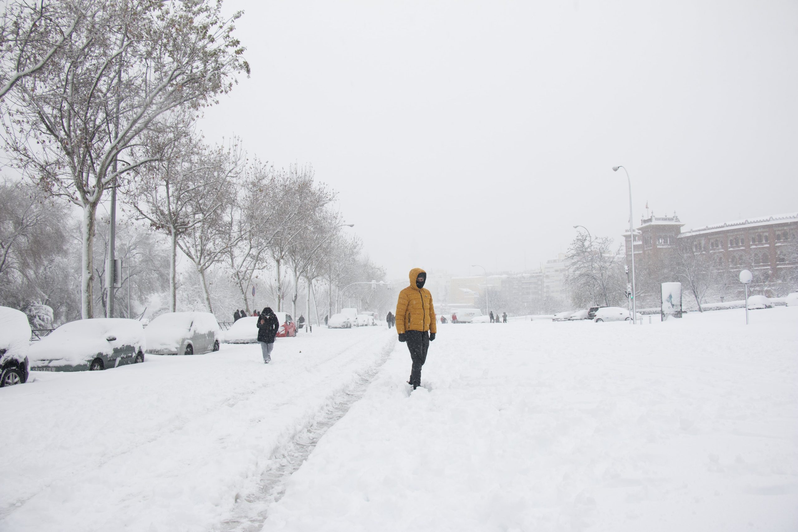 La tempête Filomena a fait trois morts en Espagne ce week-end. Crédit : Unsplash par Ludmila Hermida.