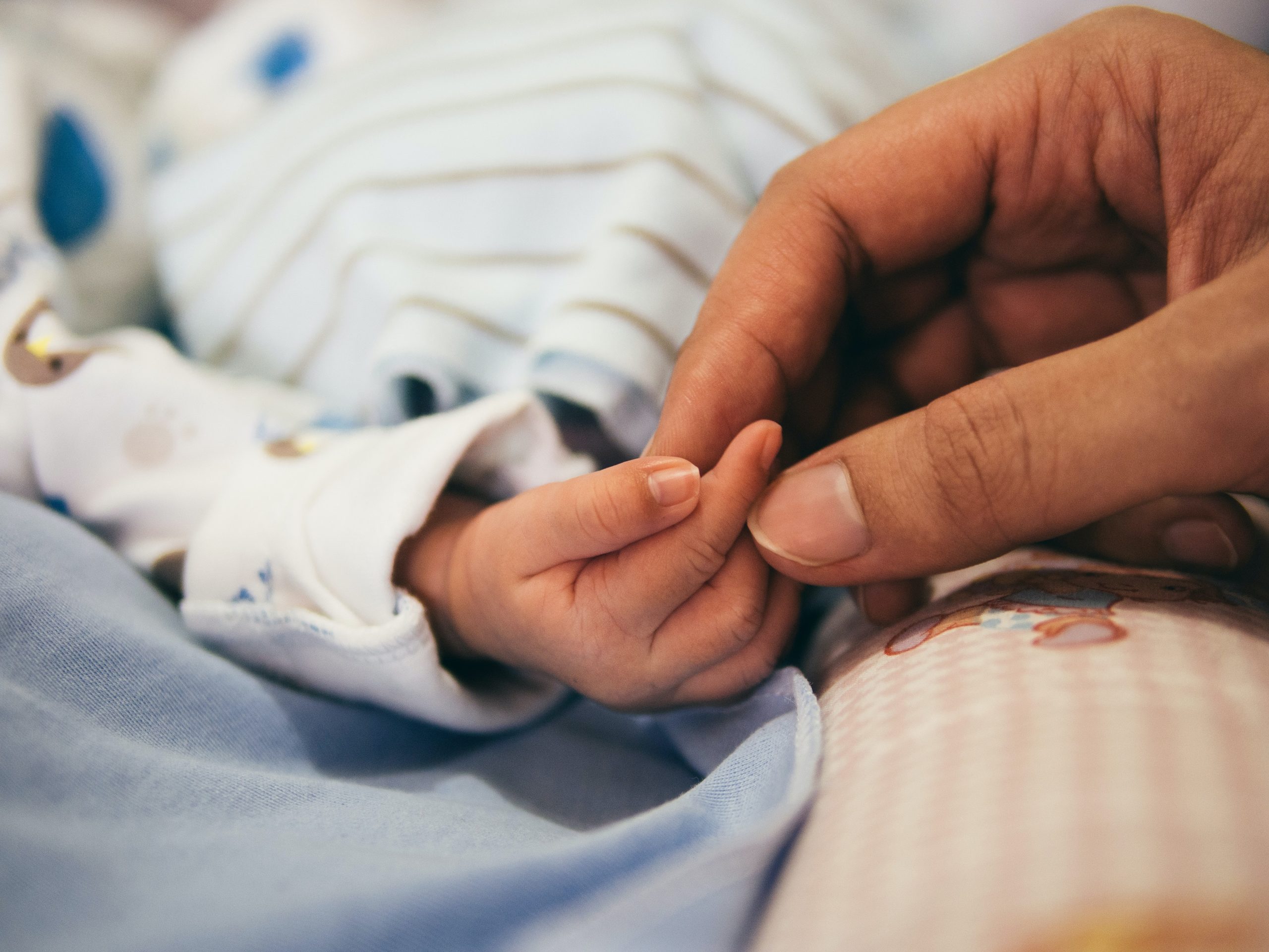 La naissance est une première en France. Crédit : Aditya Romansa via Unsplash