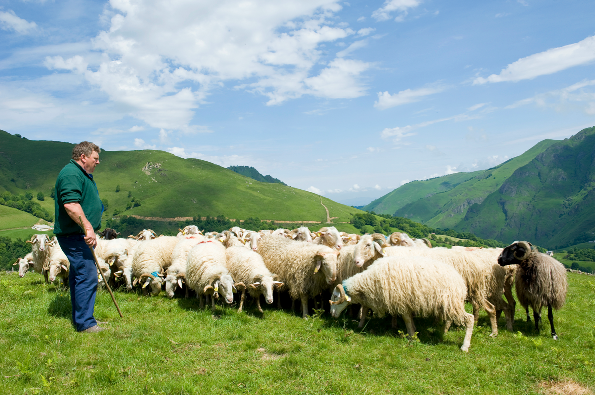 Trois points de livraison sont prévus pour ce premier drive à Toulouse samedi. Crédit : AREOVLA