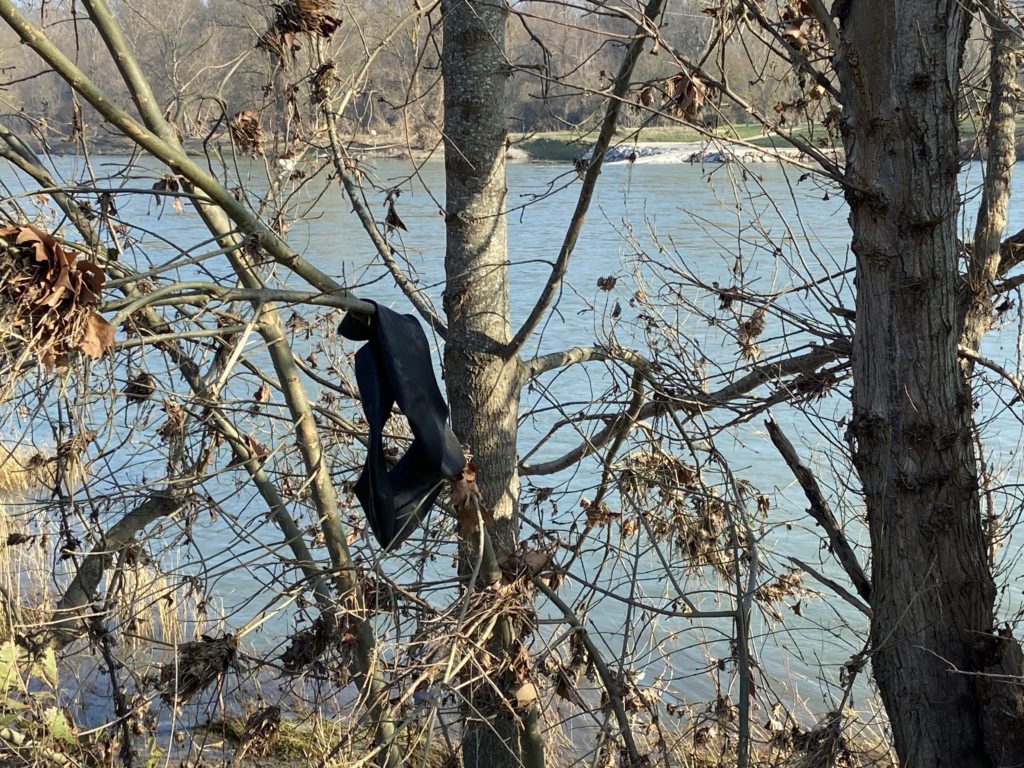 Déchets perchés dans les arbres. 