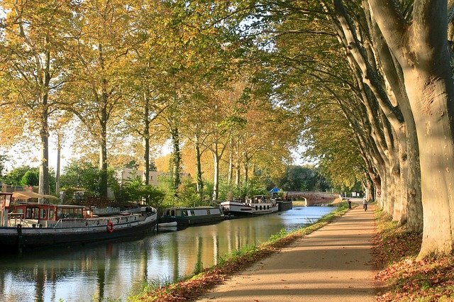 Berges du Canal du Midi