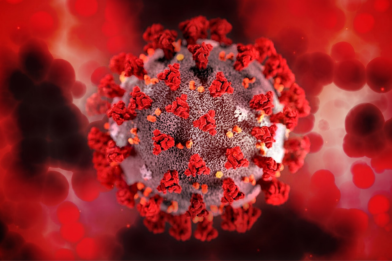 Coronavirus