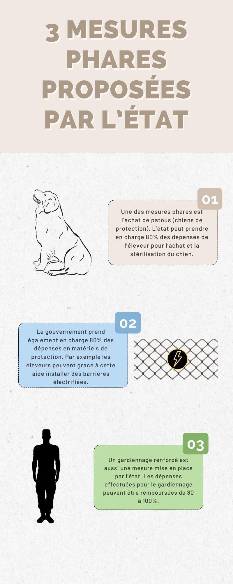 Infographie montrant les trois plus importantes mesures que le gouvernement à mis en place pour aider les éleveurs. Infographie faite sur canva.