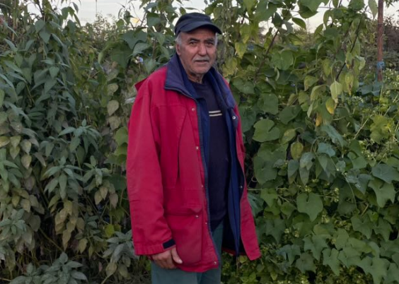Mohamed, retraité de 60 ans, nous invite dans son jardin partagé à Gramont