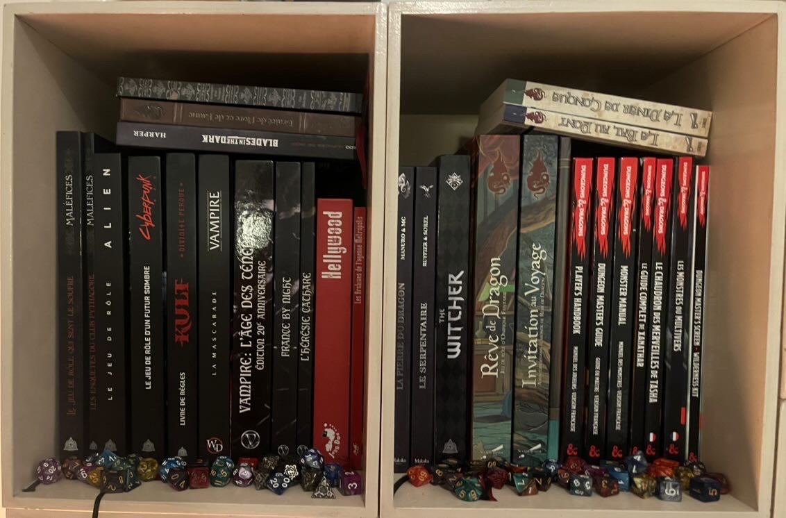 Chez Christophe et ses amis, la bibliothèque est remplie de scénarios! Photo: Christophe Roger